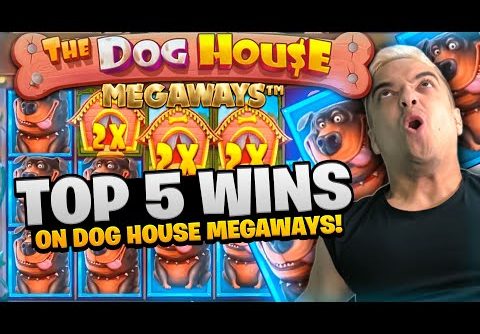 TOP 5 CLASSYBEEF INSANE WINS ON THE DOG HOUSE MEGAWAYS