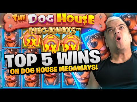 TOP 5 CLASSYBEEF INSANE WINS ON THE DOG HOUSE MEGAWAYS