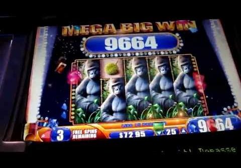 LIVE MEGA BIG WIN Queen of the Wild nickels