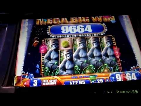 LIVE MEGA BIG WIN Queen of the Wild nickels