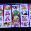Huge Win On 4 Coins Super Game !! Buffalo Tower