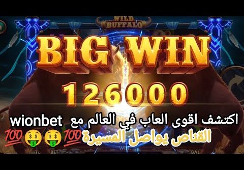 WILD BUFFALO ultra mega win ربح ولا اروع🤫🤫