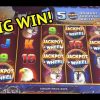 BIG WIN on American Bison slot machine!