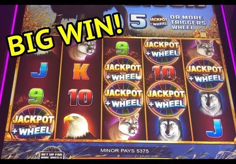 BIG WIN on American Bison slot machine!