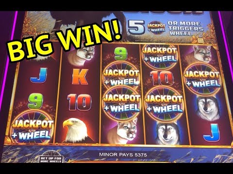 BIG WIN on American Bison slot machine!