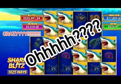 SHARK BLITZ mega win bet 2.5$ 🤑علاقة حب جديدة مع القناص(wionbet)