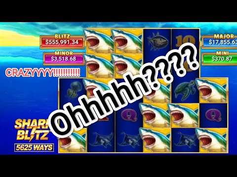 SHARK BLITZ mega win bet 2.5$ 🤑علاقة حب جديدة مع القناص(wionbet)