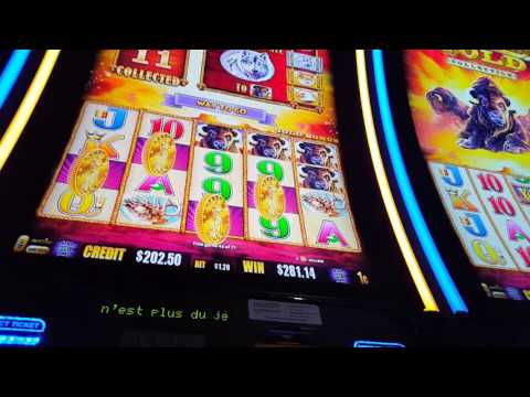 ♦HUGE WIN♦ – BUFFALO G✪LD SLOT BONUS!!!