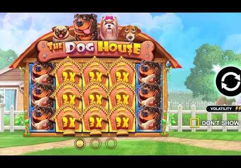 полная собака-dog hause 862.000 SENSATIONAL BIG WINS – Record win on slot- ՎԵՐՉԻՆ ՐՕՊԵԻՆ