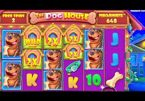 AMAZING WIN ROTI WEEK RECORD | THE DOG HOUSE MEGAWAYS 🐶🐶🐶 CASINO ONLINE SLOT