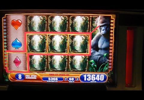 Queen of the Wild BIG WIN – Slot Machine Bonus Round Free Games – Gorillas in the Mist 2!