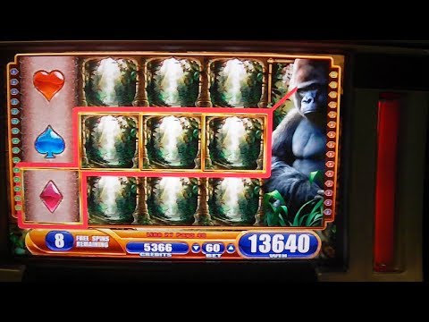Queen of the Wild BIG WIN – Slot Machine Bonus Round Free Games – Gorillas in the Mist 2!