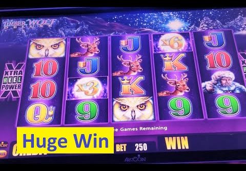 Huge Win $$ Timber Wolf Deluxe $$ Original Slot