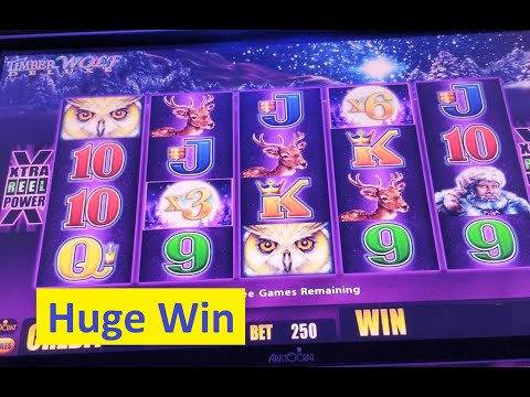 Huge Win $$ Timber Wolf Deluxe $$ Original Slot