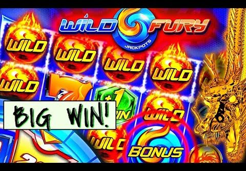 BIG WIN: Wild Fury + Hold Onto Your Hat Slot