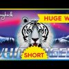 SHOCKING HUGE WIN! White Tiger Slot – INCREDIBLE! #Shorts