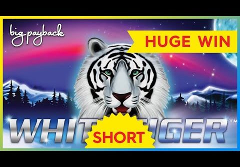 SHOCKING HUGE WIN! White Tiger Slot – INCREDIBLE! #Shorts