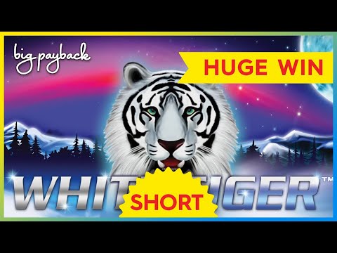 SHOCKING HUGE WIN! White Tiger Slot – INCREDIBLE! #Shorts