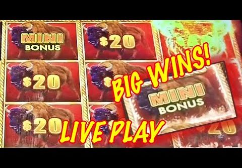 BIG WINS: High Limit Buffalo Link and Super Reel Em In Slots!