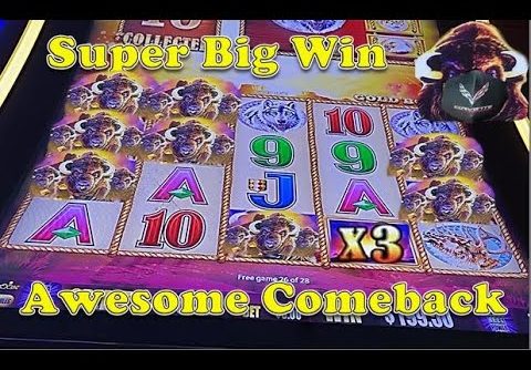 Buffalo Gold | An Awesome Night with Buffalo – Super Big Win