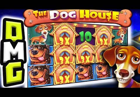 THE DOG HOUSE 🐶 SLOT ULTRA BIG WINS 🔥 STICKY WILDS BIG MULTIPLIERS AND PREMIUMS 🤯 OMG NO WAY‼️