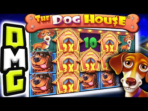 THE DOG HOUSE 🐶 SLOT ULTRA BIG WINS 🔥 STICKY WILDS BIG MULTIPLIERS AND PREMIUMS 🤯 OMG NO WAY‼️