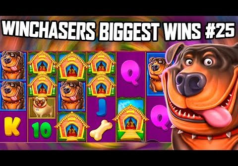 *MASSIVE WIN* DOG HOUSE MEGAWAYS  – Community Biggest Wins #25
