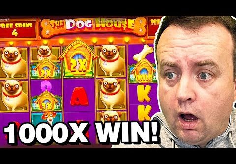 *OMG* BIG WIN on Dog House Megaways Slot! (1000x)