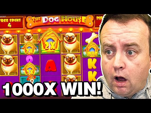 *OMG* BIG WIN on Dog House Megaways Slot! (1000x)