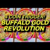 BUFFALO GOLD REVOLUTION: GREAT RUN, HUGE WIN MAX BET