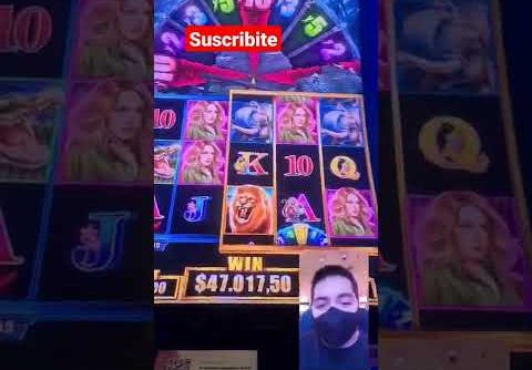 SLOT TARZAN – BIG WIN – FREE GAMES – hipodromo de palermo 🤑🤑🤑🤑🥳🥳