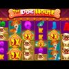 $0 TO … DOG HOUSE MEGAWAYS BONUS BUYS!! (INSANE WIN)