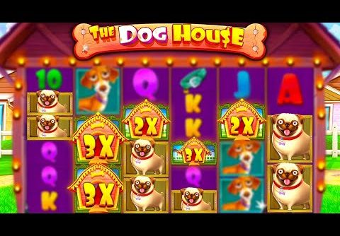 $0 TO … DOG HOUSE MEGAWAYS BONUS BUYS!! (INSANE WIN)
