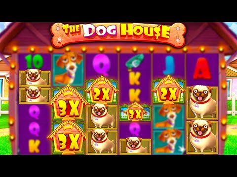 $0 TO … DOG HOUSE MEGAWAYS BONUS BUYS!! (INSANE WIN)