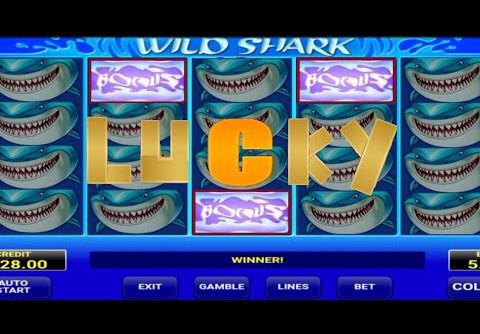 WILD SHARK CASINO SLOTS LUCKY WINNER / BONUS HUNTER 🔥🔥و عدنا