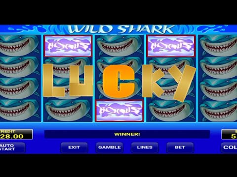 WILD SHARK CASINO SLOTS LUCKY WINNER / BONUS HUNTER 🔥🔥و عدنا