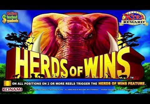 MEGA JACKPOTS BIGGEST YOUTUBE WINS ON HERDS OF WINS A REAL SLOT MACHINE JACKPOT