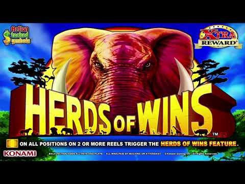 MEGA JACKPOTS BIGGEST YOUTUBE WINS ON HERDS OF WINS A REAL SLOT MACHINE JACKPOT