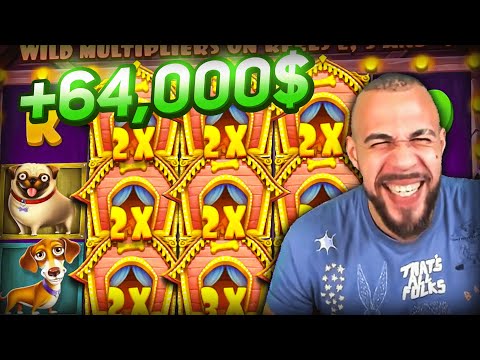 Streamer Ultra Mega Win +64 000$ on Dog House slot – TOP 5 Biggest wins of the week