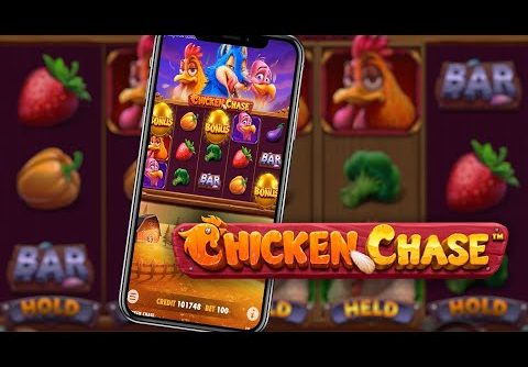 *MEGA WIN* on CHICKEN CHASE – High Stake