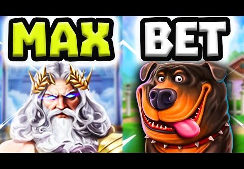 GATES OF OLYMPUS ⚡️ & THE DOG HOUSE 🐶 SLOT EPIC MAX BET COMEBACK OMG‼️ *** MEGA BIG WINS ***