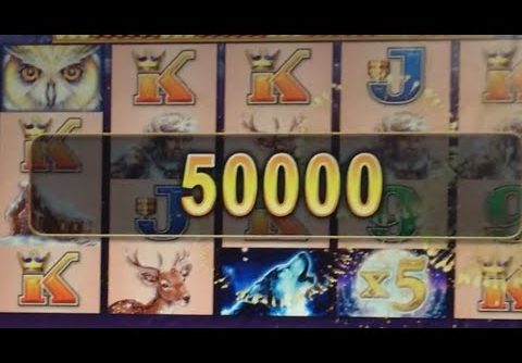 SUPER BIG TIMBERWOLF WINS #slotman #casino #timberwolfdeluxe #timberwolf #chumashcasino