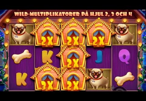 MEGA WIN On The Dog House | Pragmatic Slot ($0.20 bet)