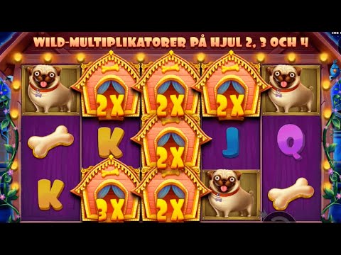 MEGA WIN On The Dog House | Pragmatic Slot ($0.20 bet)