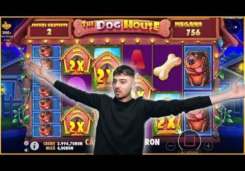 DOG HOUSE MEGAWAYS SUPER BIG WIN 2000X