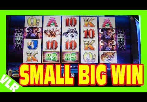 BUFFALO DELUXE – SMALL BIG WIN – Slot Machine Bonus