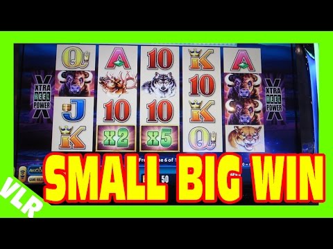 BUFFALO DELUXE – SMALL BIG WIN – Slot Machine Bonus