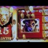 HUGE WIN and ALL 15 BUFFALO HEADS on BUFFALO GOLD SLOT MACHINE POKIE – NORWEGIAN JOY CRUISE SHIP