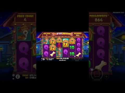 The Dog House Megaways 🐶MEGA WIN ROTI (record) Online Casino Slot Game