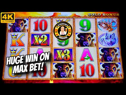 Max Bet = HUGE Win on Buffalo Gold Slot Machine